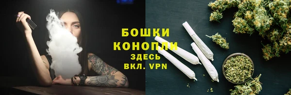 прущие грибы Лиски