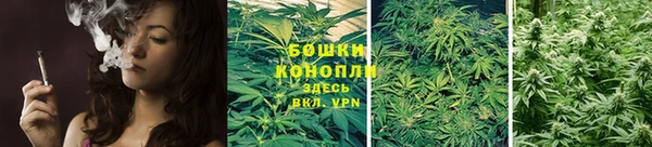 прущие грибы Лиски
