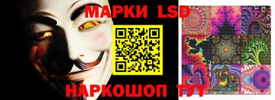 гидропоника Ипатово