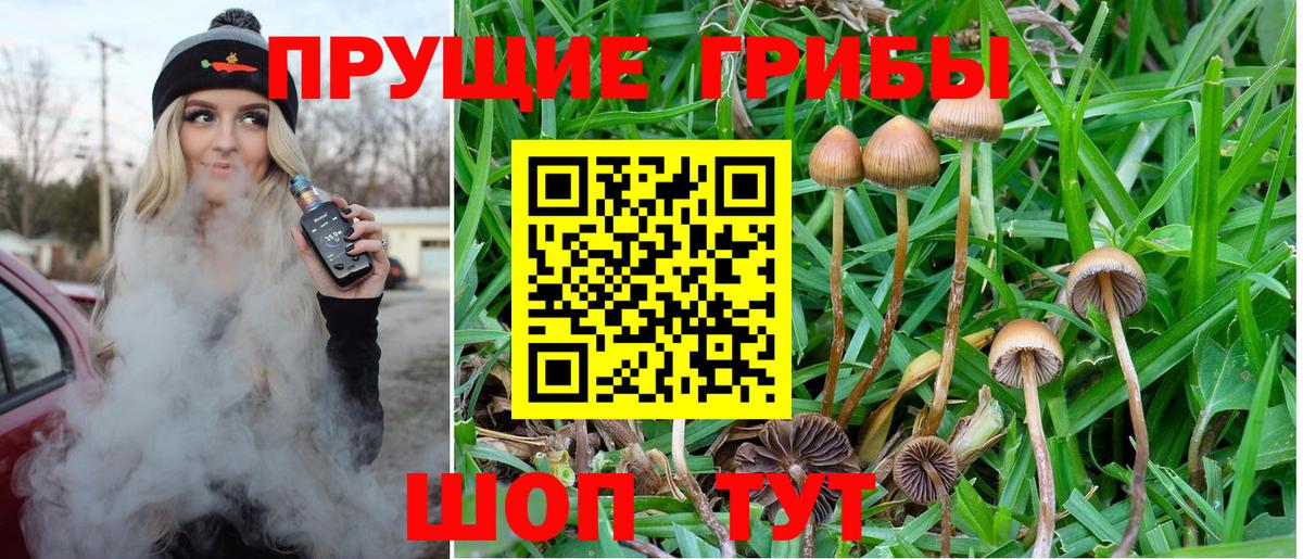 Псилоцибиновые грибы мицелий  Наро-Фоминск 