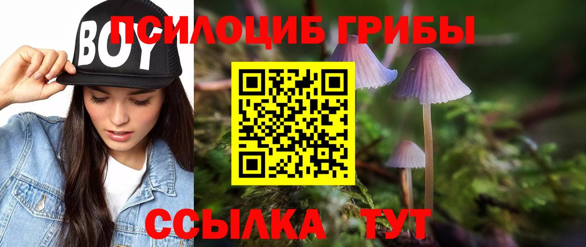 Псилоцибиновые грибы Psilocybe Наро-Фоминск